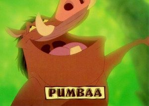 pumba.jpg