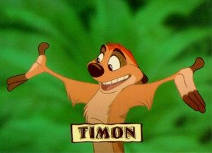 timon.jpg